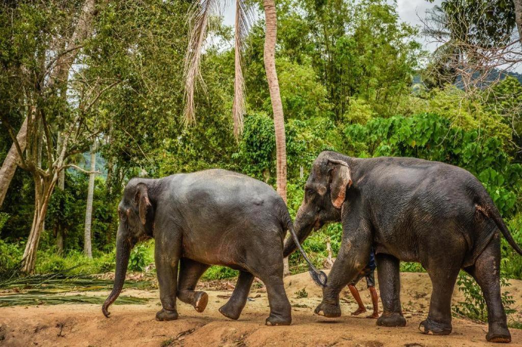 Baan Suan Sook Resort Чавенг Бийч Екстериор снимка